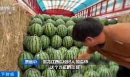 加油站免费吃瓜,免费吃瓜活动来袭！